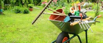 инструменты для садоводов и огородников