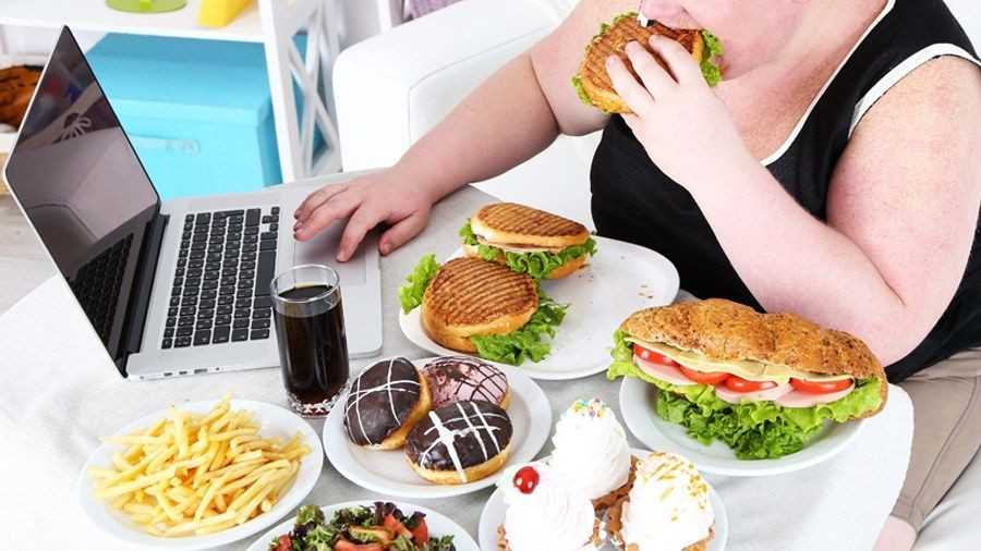 Пищевое Поведение Психология Лишнего Веса