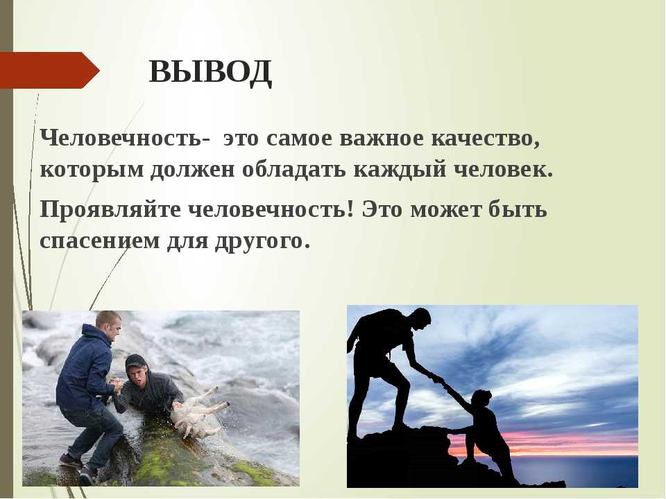 Лучшие примеры человечности из жизни :: syl.ru