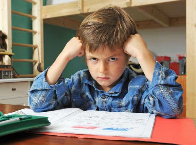 Как мотивировать ребенка на учебу | психология
