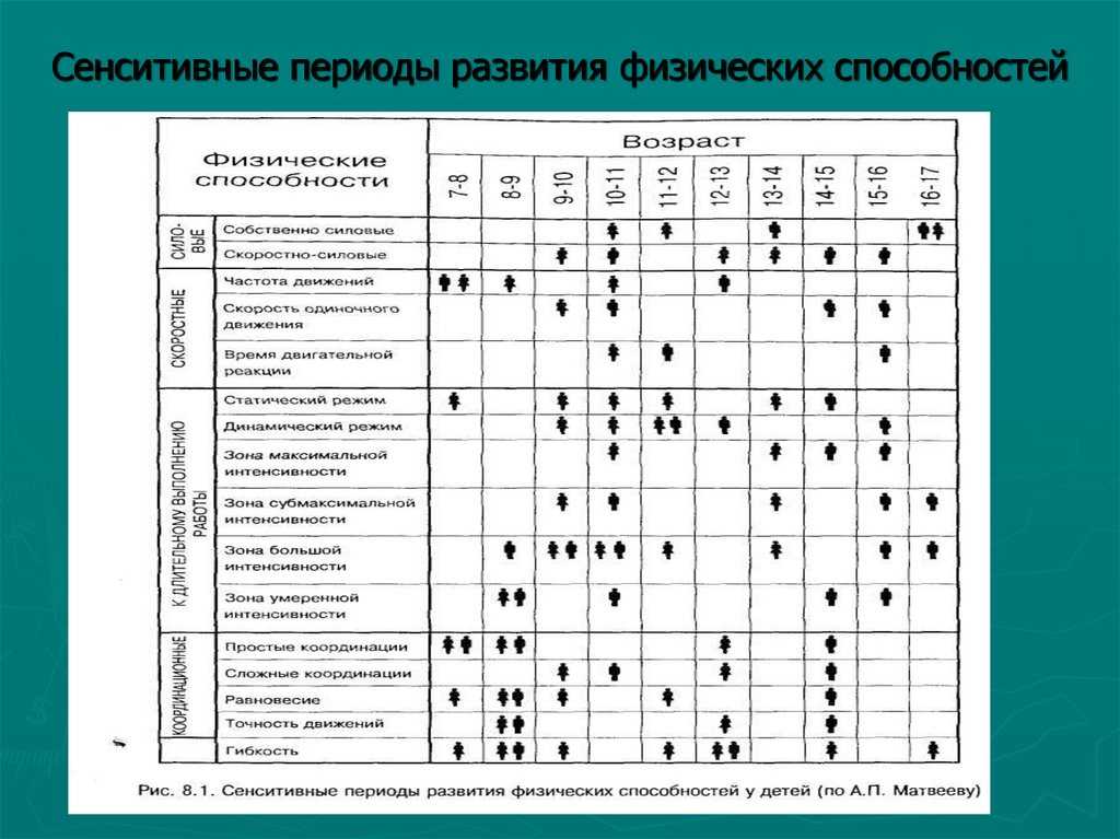 Что такое сенситивные периоды развития :: syl.ru