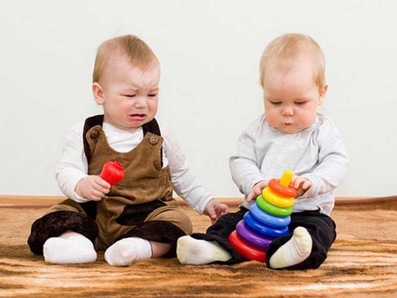 Двое детей: как поделить игрушки. 3 простых совета. методика подели игрушки