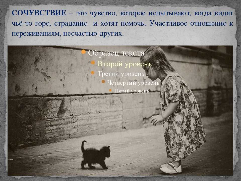 Никто не проявлял. Девочка с бездомным котенком. Равнодушные люди для детей. Сочувствие. Равнодушие картинки.