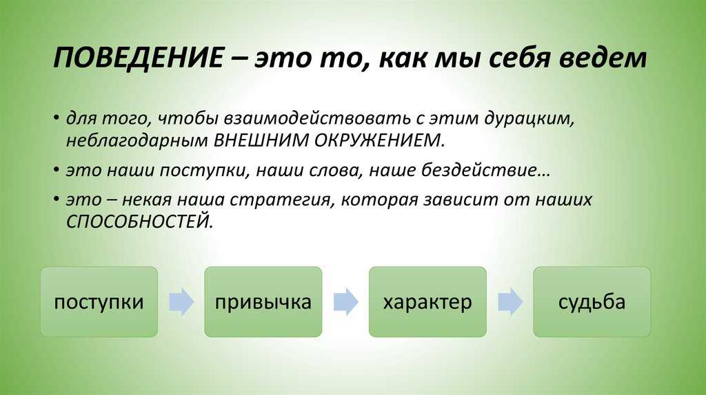 Новое поведение. Поведение. Полевое поведение. Поведение это для детей определение.