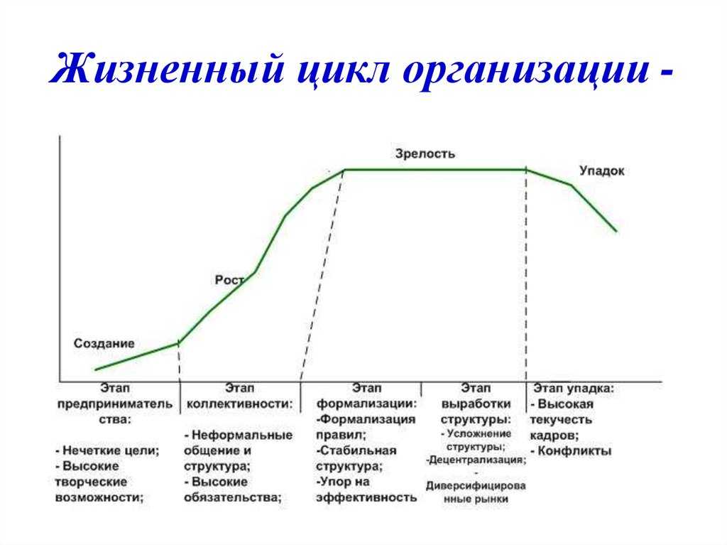 Теория жизненного цикла организации по грейнеру — powerbranding.ru