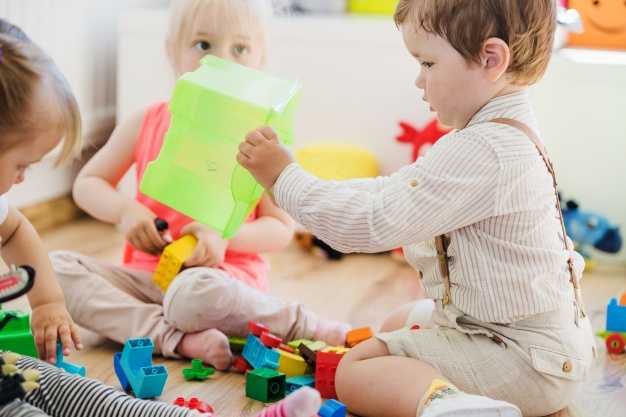 Должен ли ребенок делиться своими игрушками?