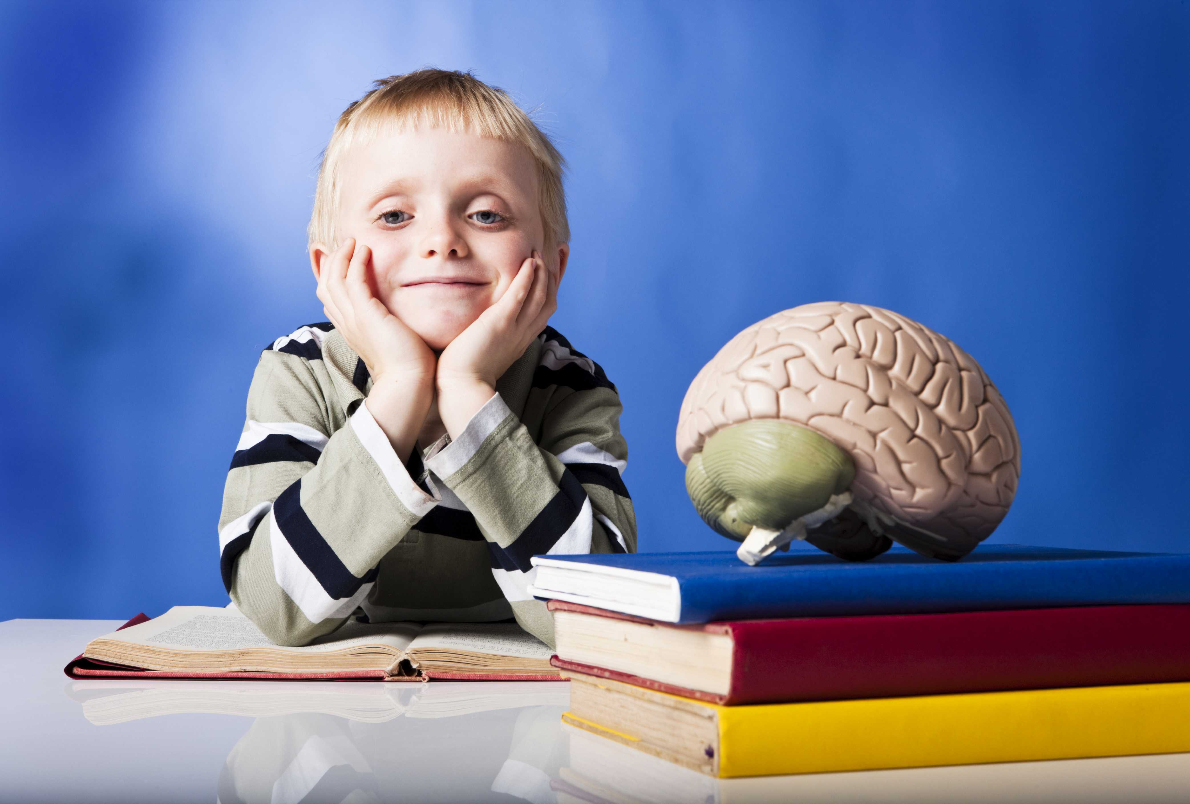 Интеллектуальное развитие для взрослых и детей: как тренировать свой ум