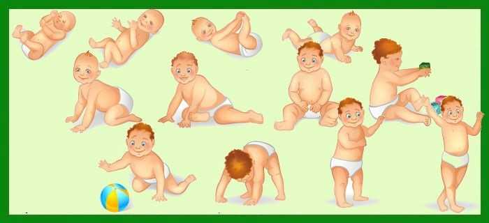 В течении первых 6 месяцев. Стадии формирования младенца. Этапы физического развития грудничка. Этапы развития ребенка до 1 года. Онтогенез ребенка до года.