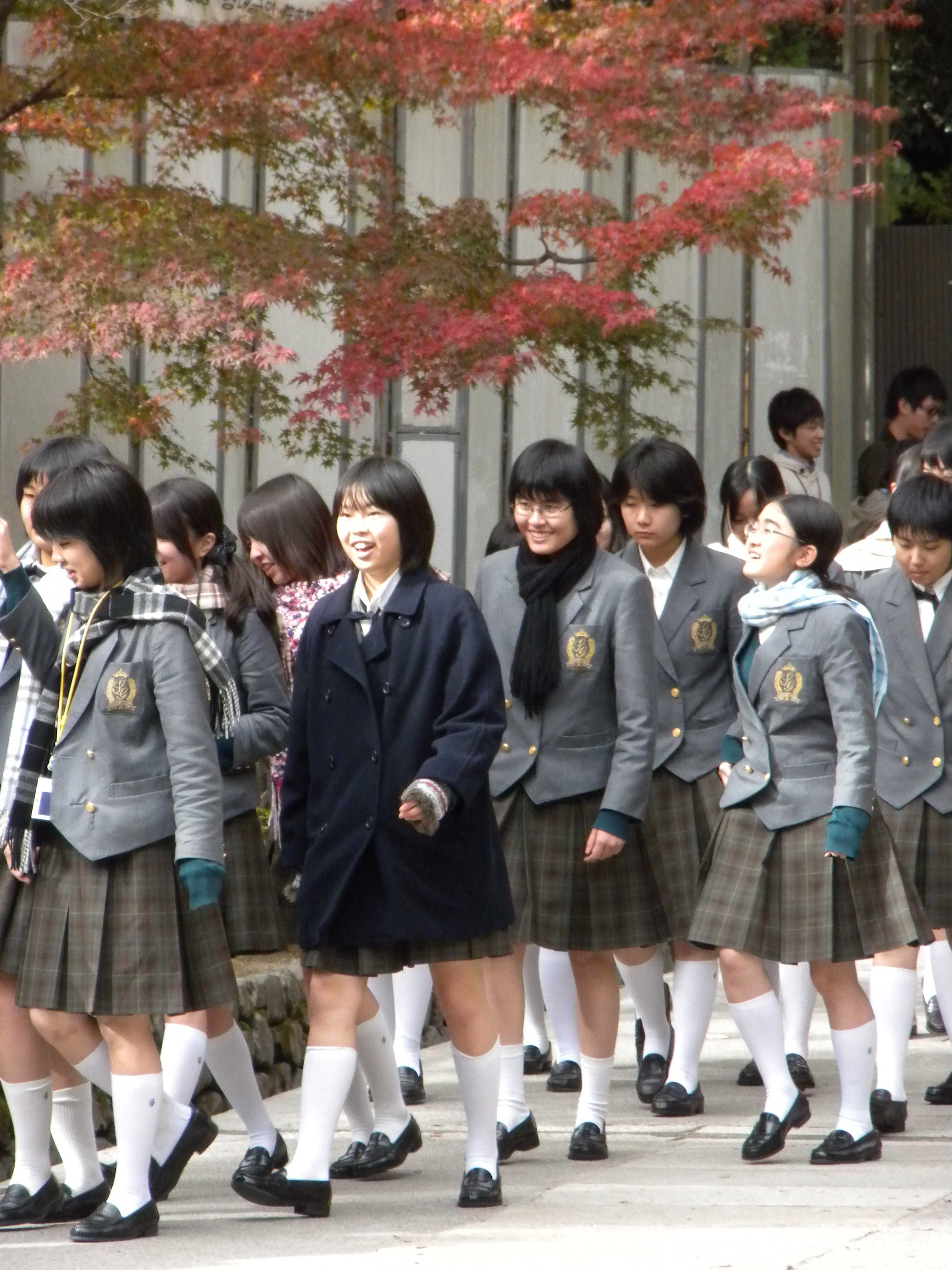 Школы в японии