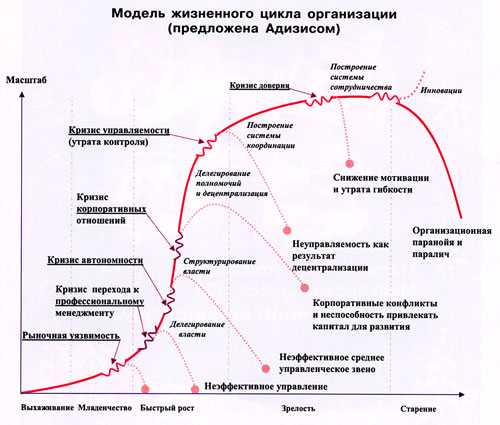 Жизненный цикл организации и предприятия:  разбираем основные этапы на примерах — powerbranding.ru
