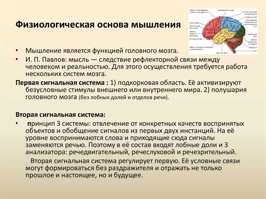 Результат деятельности мозга. Мышление физиология. Физиологические механизмы мышления. Физиологические механизмысышления. Мышление. Физиологические основы мышления.