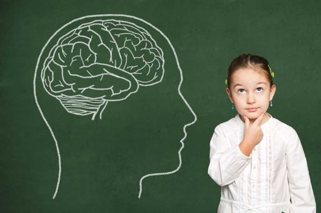 Развитие интеллекта у детей и взрослых