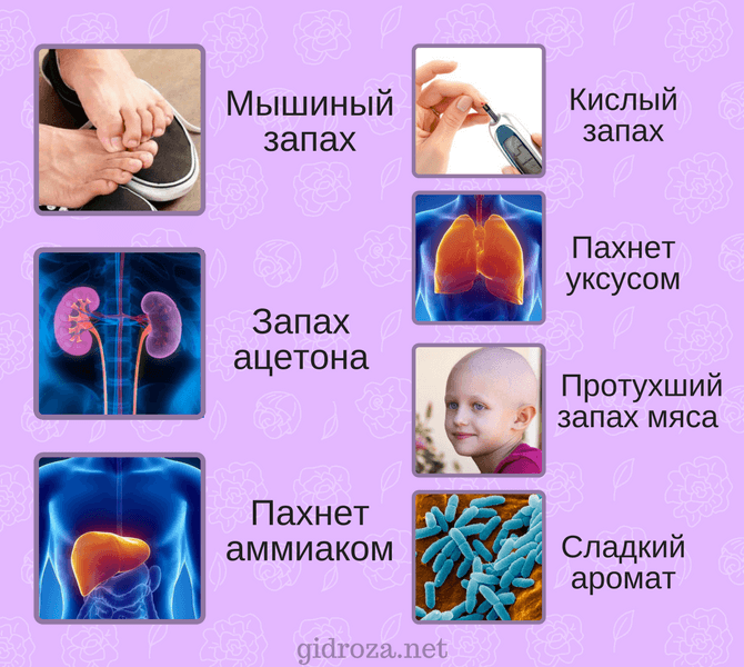 Кислый запах изо рта у ребенка: причины и методы лечения | za-rozhdenie.ru