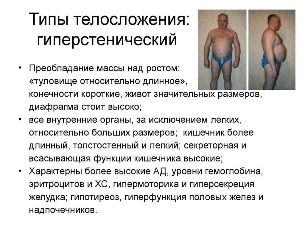 Гиперстенический тип телосложения у мужчин - простые пошаговые рецепты с фотографиями