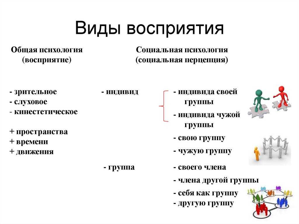 Восприятие — что это такое, свойства и виды восприятия в психологии | ktonanovenkogo.ru