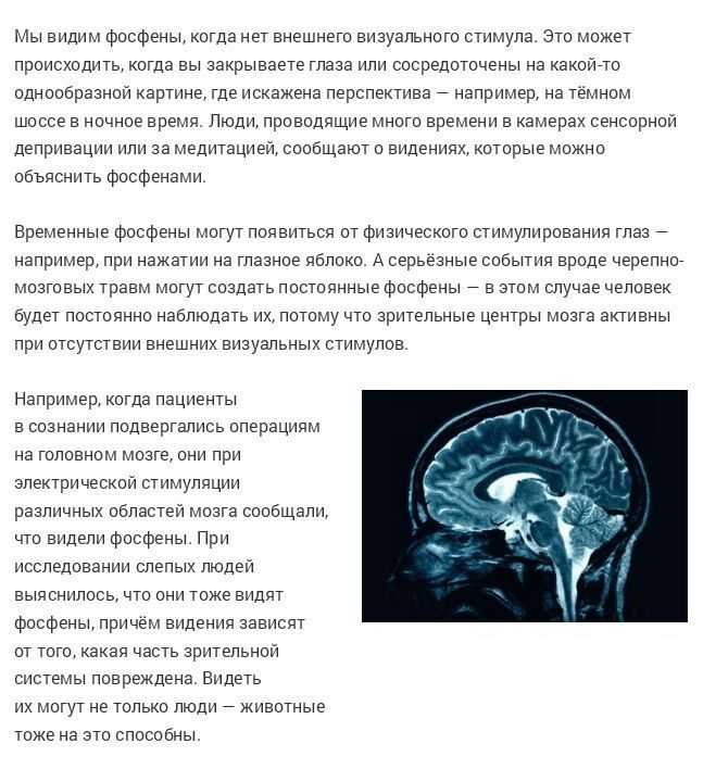 Интересные факты о мозге человека: 61 секрет мозга
