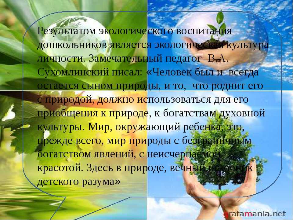 Проект воспитательной системы "экология детства" | контент-платформа pandia.ru