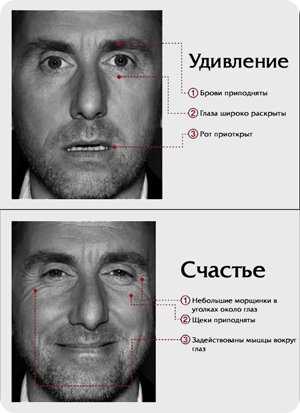 Теория лжи проект