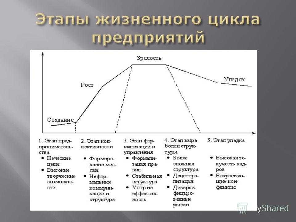 Жизненный цикл организации на примере компании оао «русал»