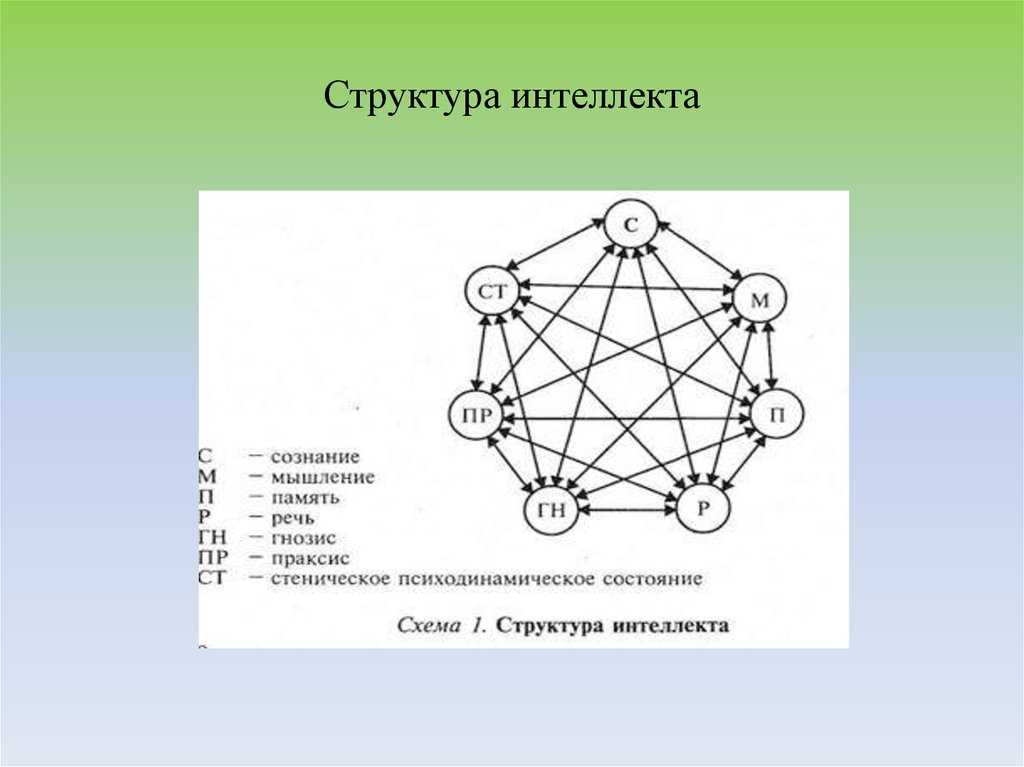 Структура интеллекта включает. Структура интеллекта в психологии. Схему строения интеллекта. Структурная схема интеллекта. Структура интеллекта схема.