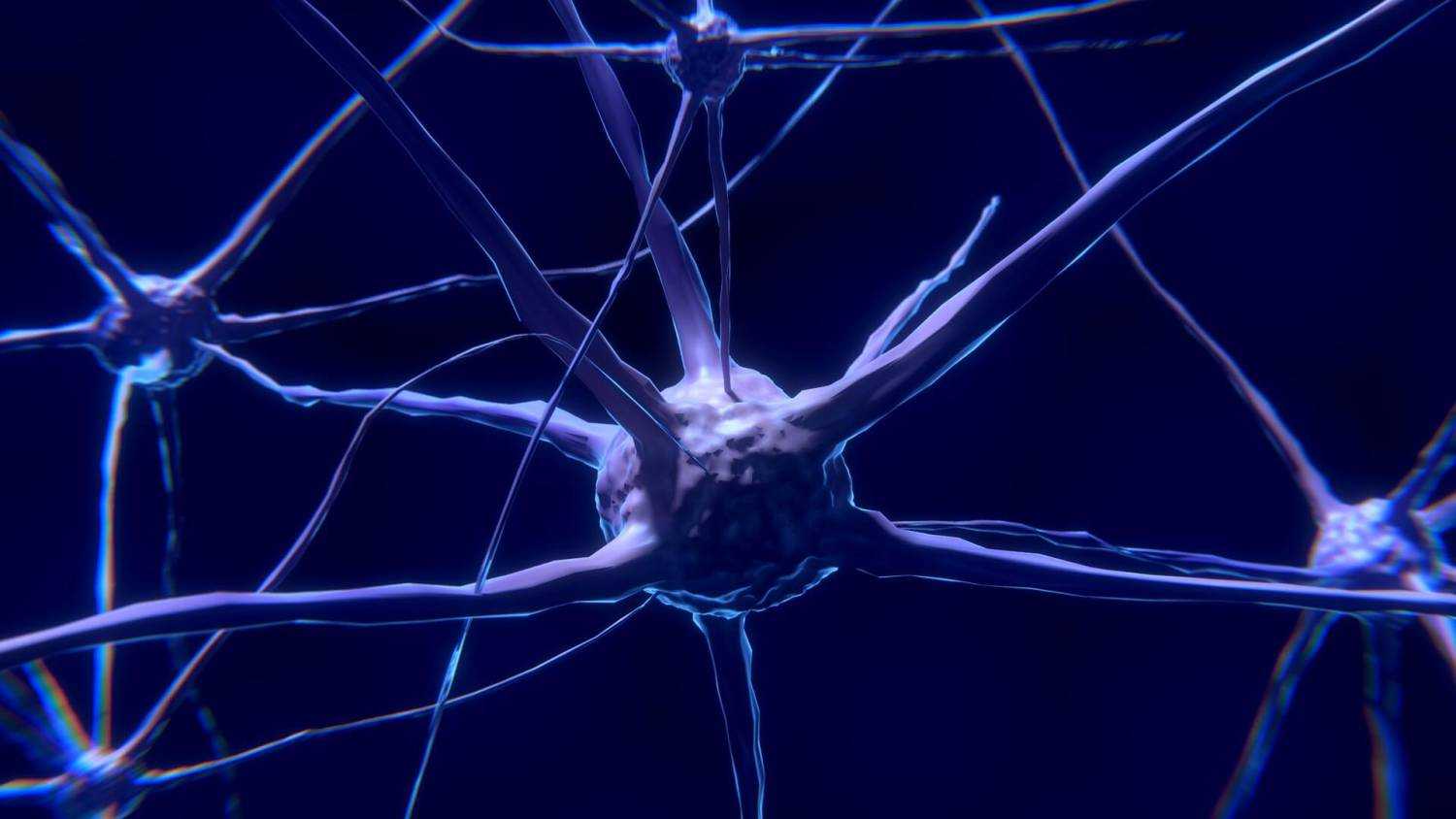 Мозг человека состоит из нейронов. Клетки мозга Нейроны. Синапс нейрона. Нейрон клетка головного мозга. Нервная система Нейрон.