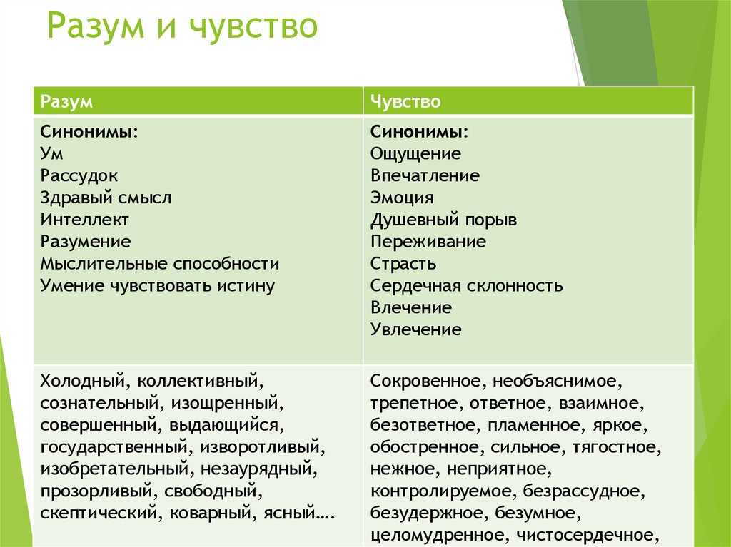 Литературное направление выдвигающее на первый план чувства человека а не разум