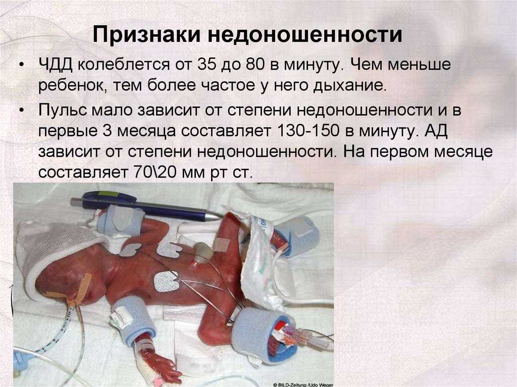 Рождаются ли все дети добрыми от природы | авторская платформа pandia.ru