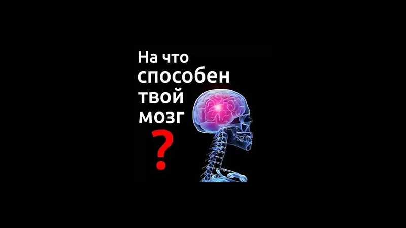 На что способен наш мозг? 10 удивительных фактов - hi-news.ru