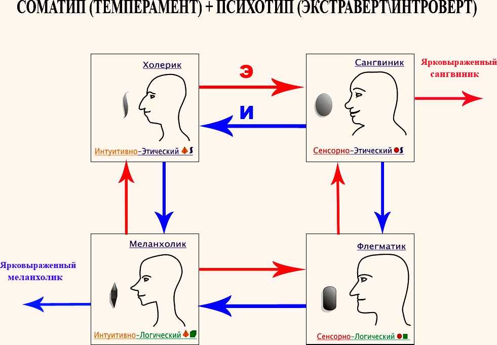 7 психотипов мужчин и ключи к их сердцу