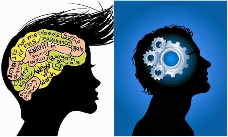 Мозг мужчины и женщины прикол картинки