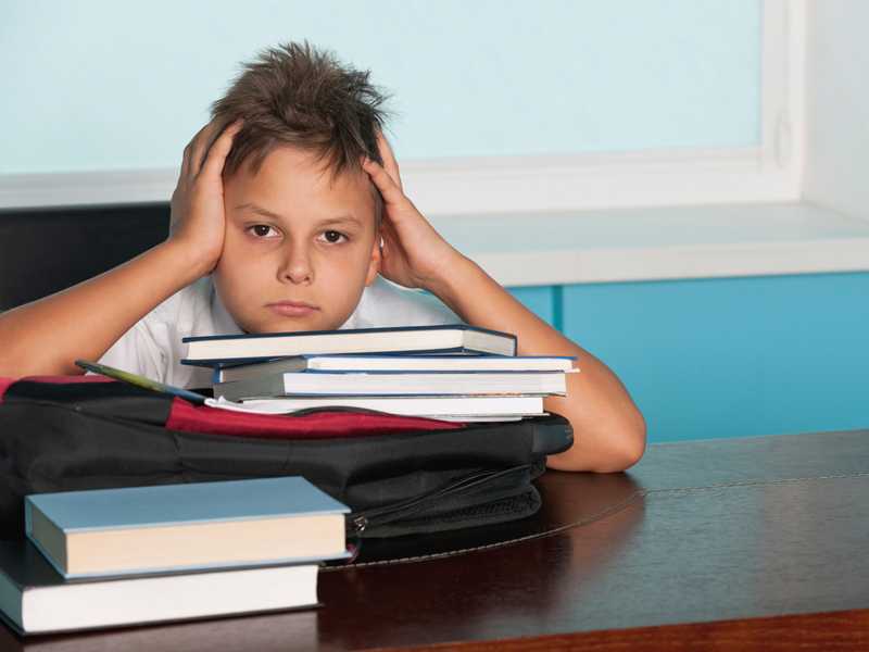 Ребенок не хочет учиться: как вернуть мотивацию к учебе