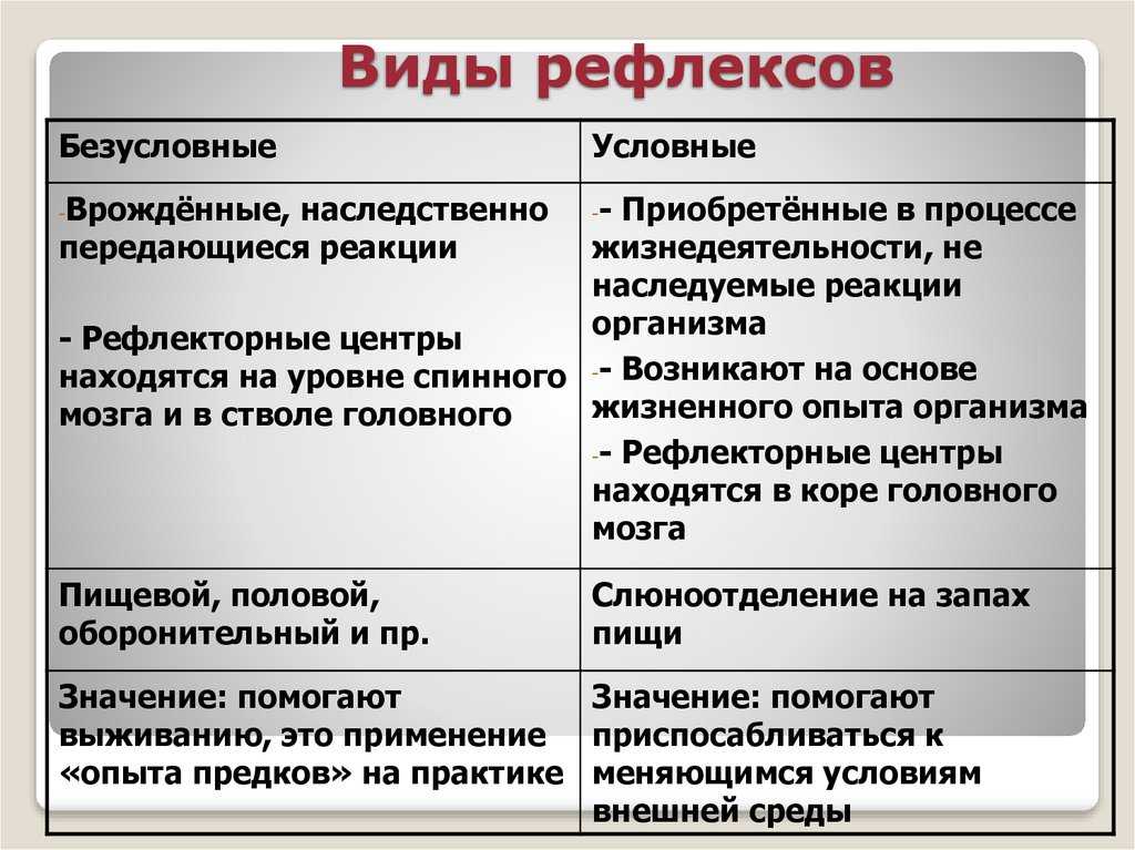 Рефлексы презентация 8 класс