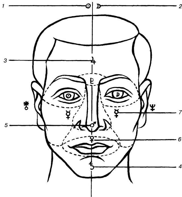 Физиогномика лица мужчины в картинках примеры подбородок