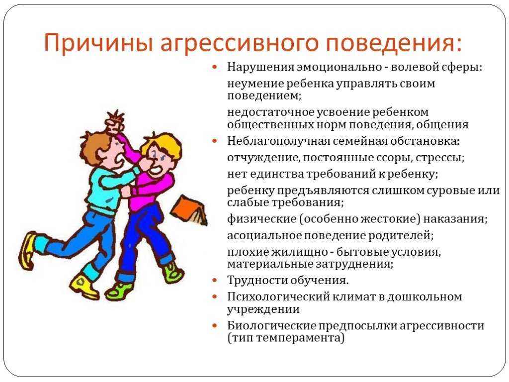 «типы агрессии у детей и способы построения отношений»