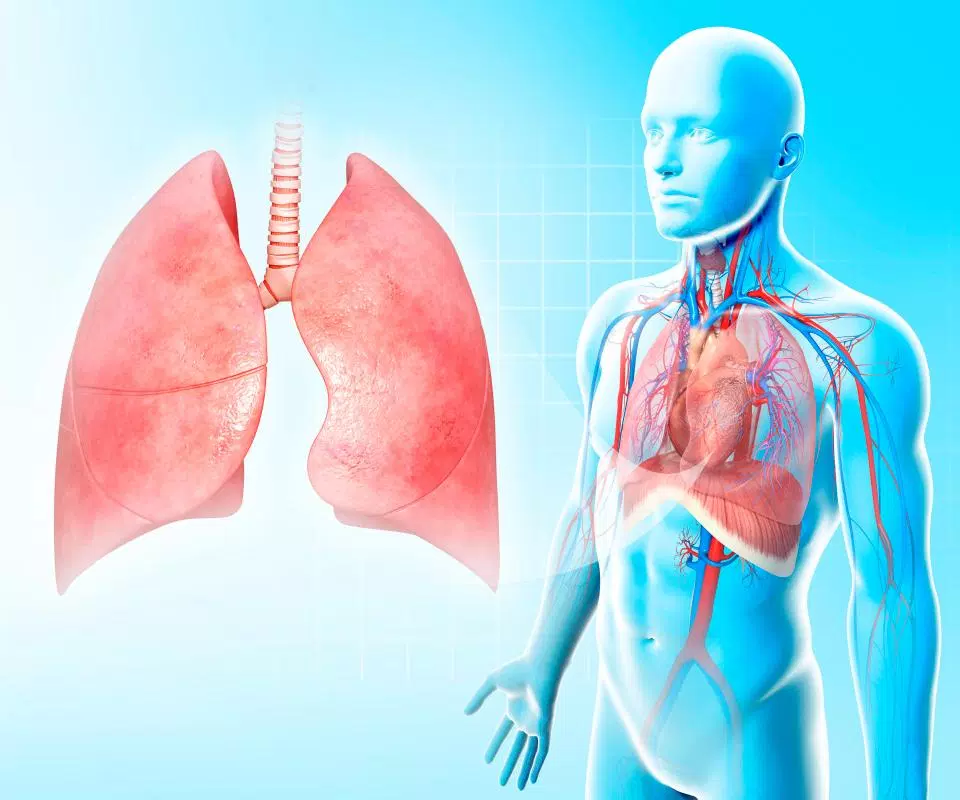 Техника дыхания: как правильно дышать и какую дыхательную гимнастику выбрать