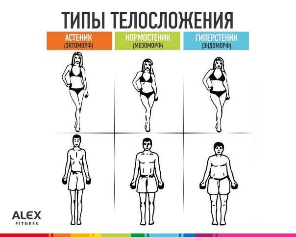 Типы телосложения женщины: астеническое, нормостеническое, гиперстеническое