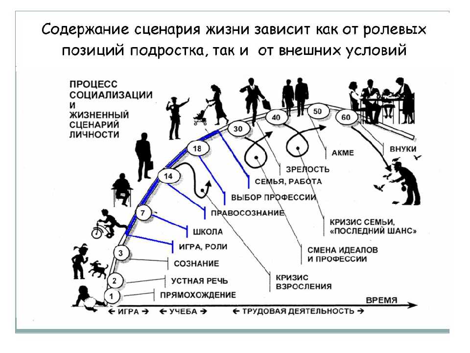 Школы жизни через жизнь