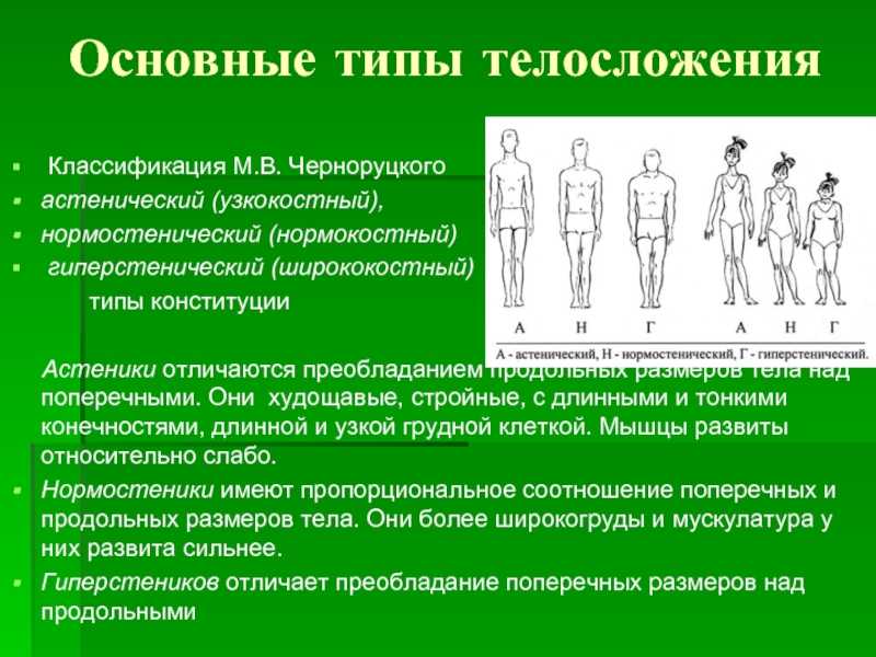 Как определить тип телосложения по запястью: способы и методы определения, показатели, особенности - tony.ru