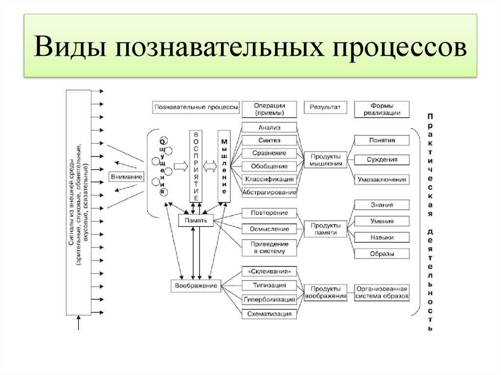 Структурно логическая схема мышления