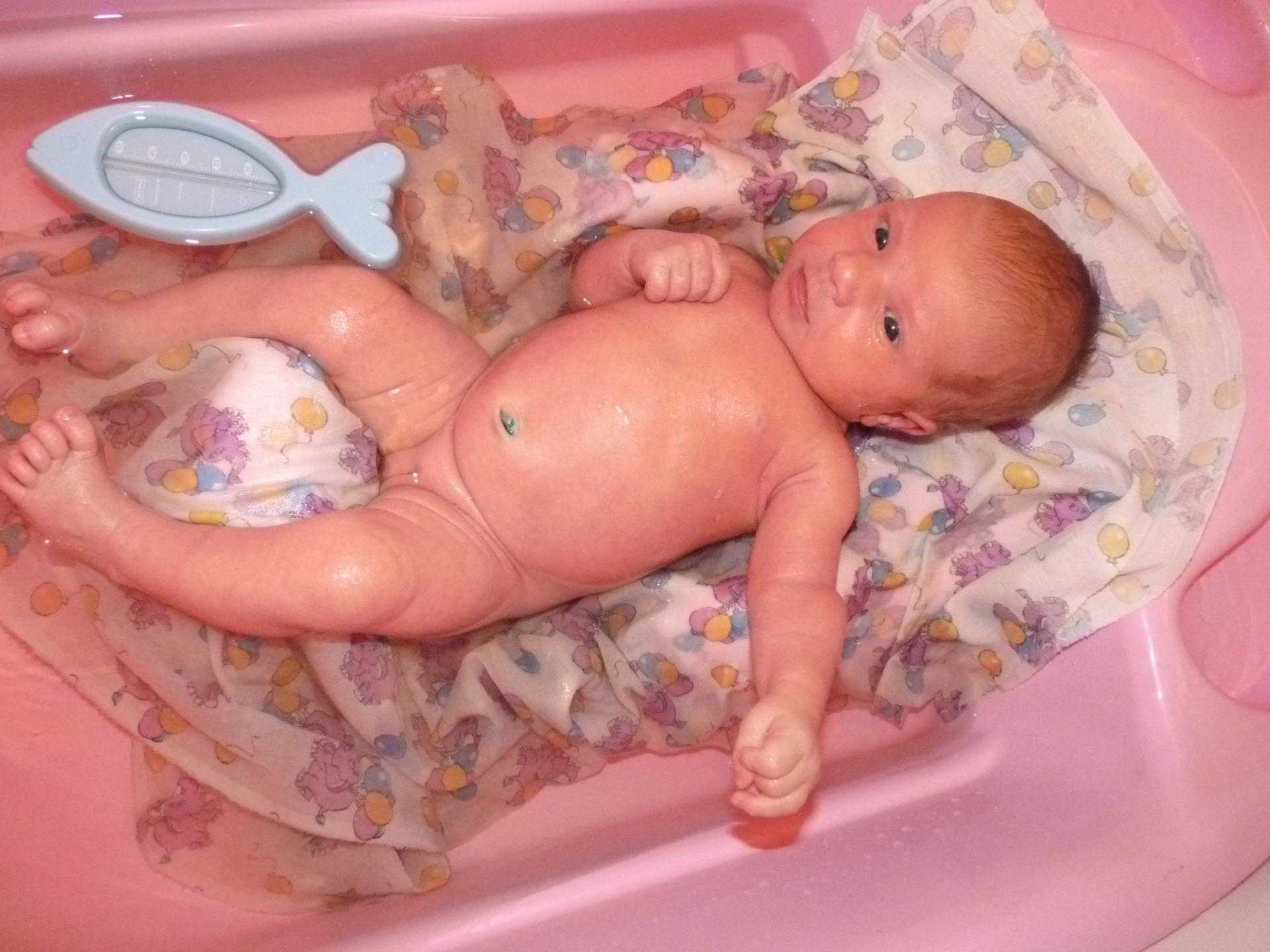 Как ухаживать за половым органом. Первое купание новорожденного. Купать новорожденного в ромашке. Половые органы новорожденного ребенка.