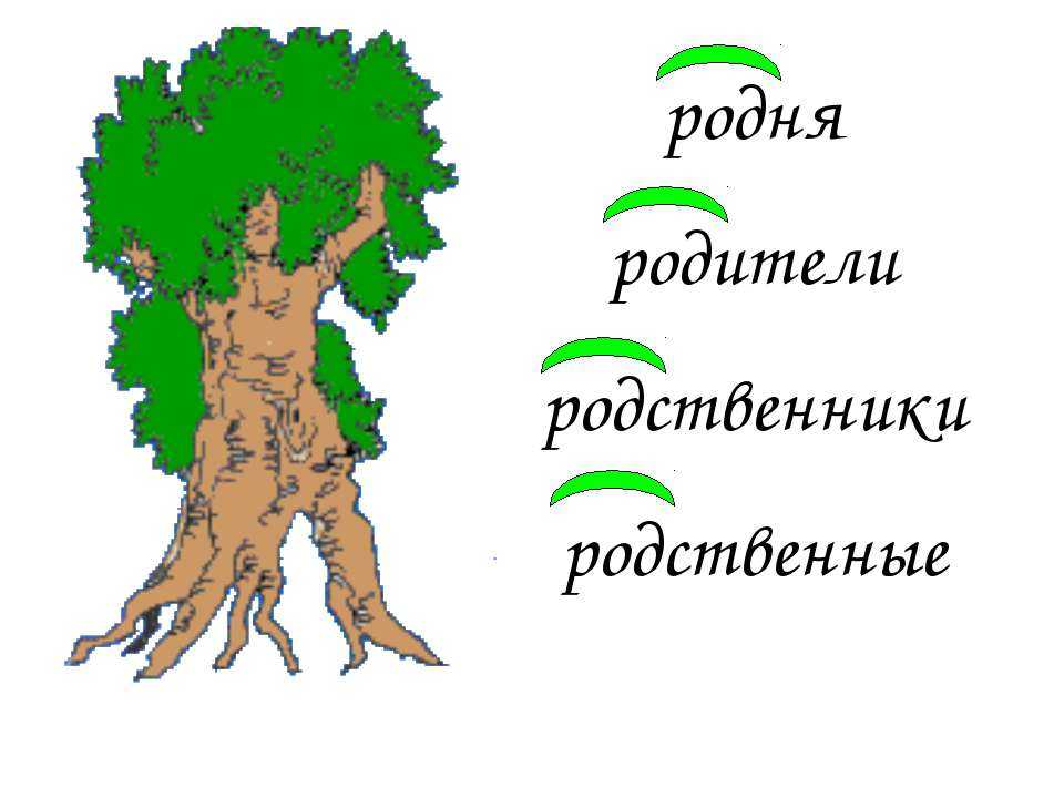 Однокоренное дерево рисунок. Дерево слов. Проект дерево с однокоренными словами. Дерево с однокоренными словами. Проект однокоренные слова.