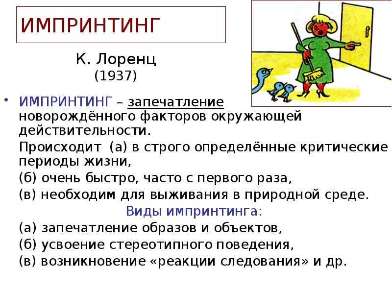 Импринтинг что это простыми