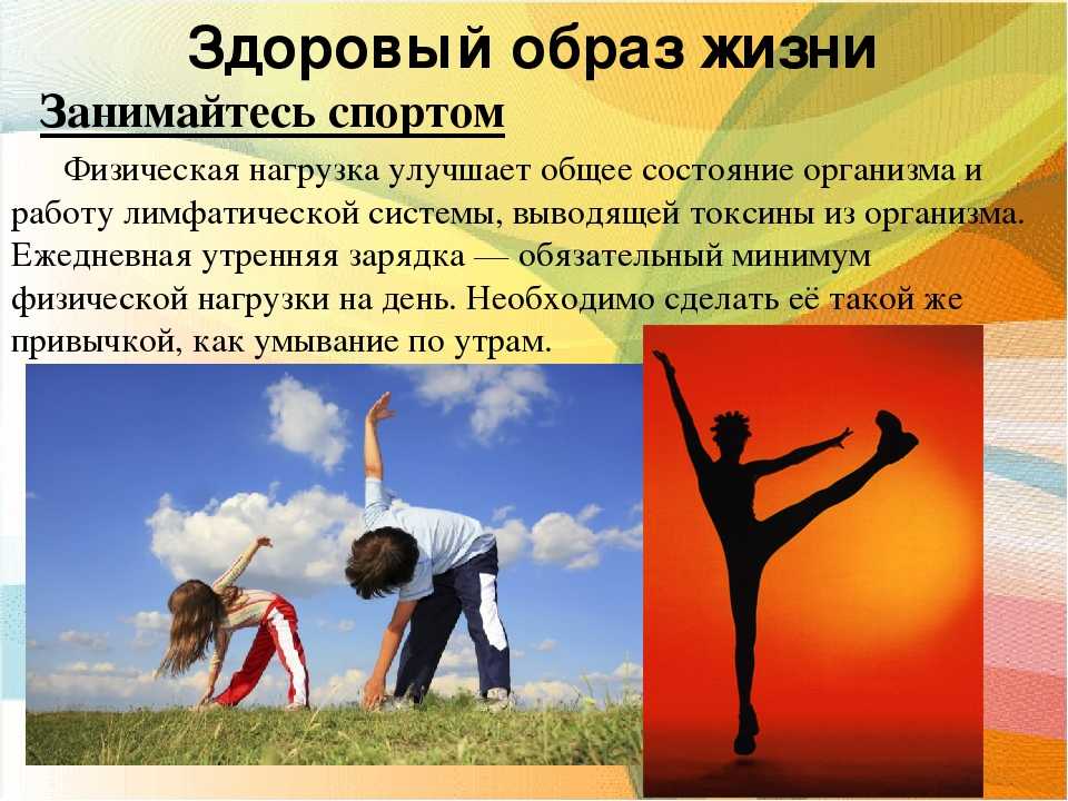 Что такое здоровый образ жизни (зож), его составляющие, советы для новичков