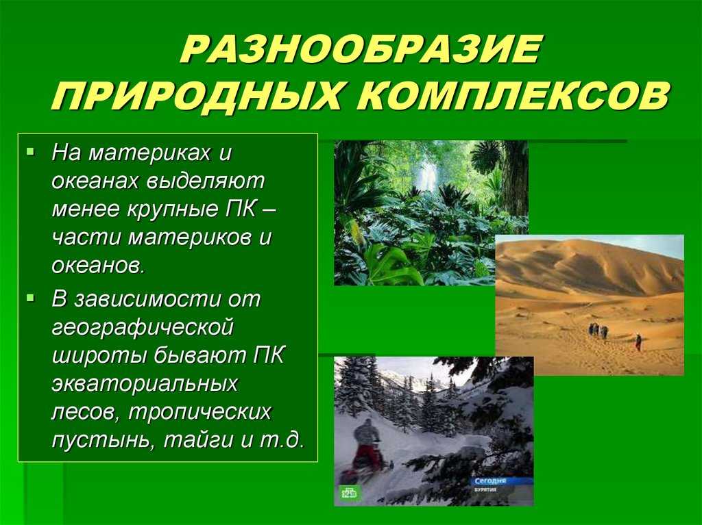 Что такое природный комплекс 8 класс. Разнообразие природных комплексов. Разнообразие природных комплексов России. Разнообразие природных комплексов этого. Биоразнообразие природных систем.