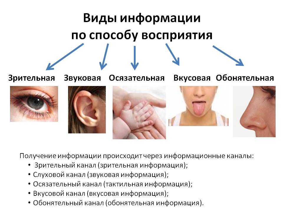 Виды информации по способу ее восприятия человеком. Типы восприятия информации. По способу восприятия человеком информация может быть. Виды информации по способу её восприятия человеком 7 класс. Человек и информация.