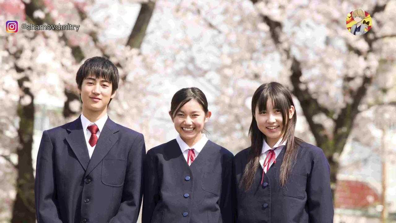 Школы в японии: разновидности учреждений и особенности процесса