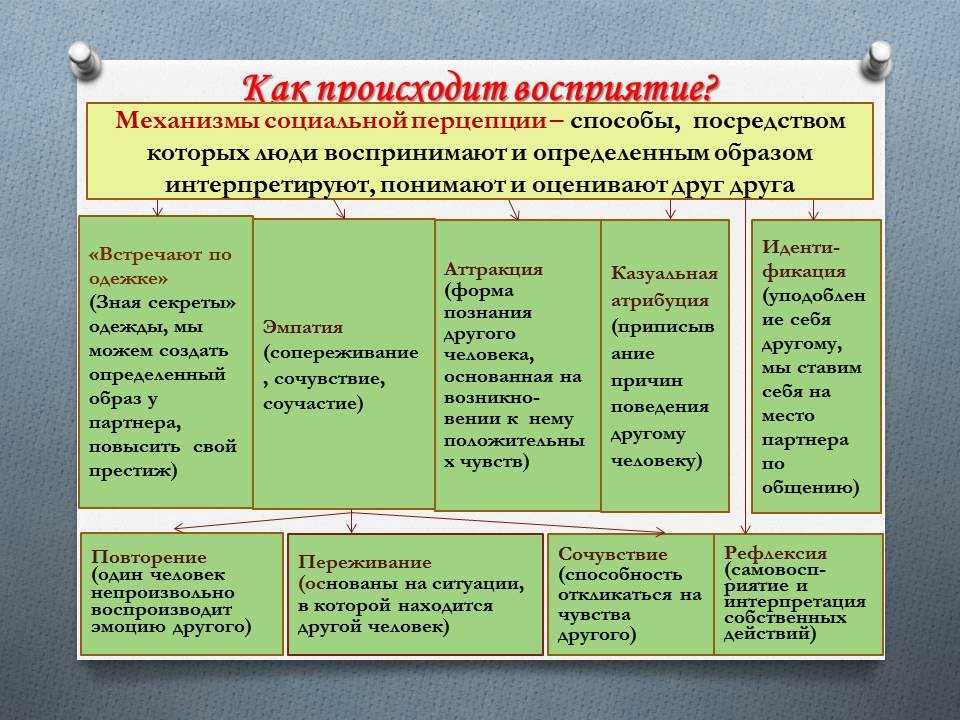 Понятие социальной перцепции схема перцептивного процесса