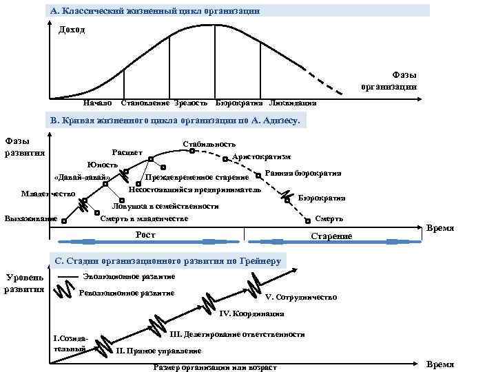 Сравнительный анализ основных моделей жизненных циклов организаций