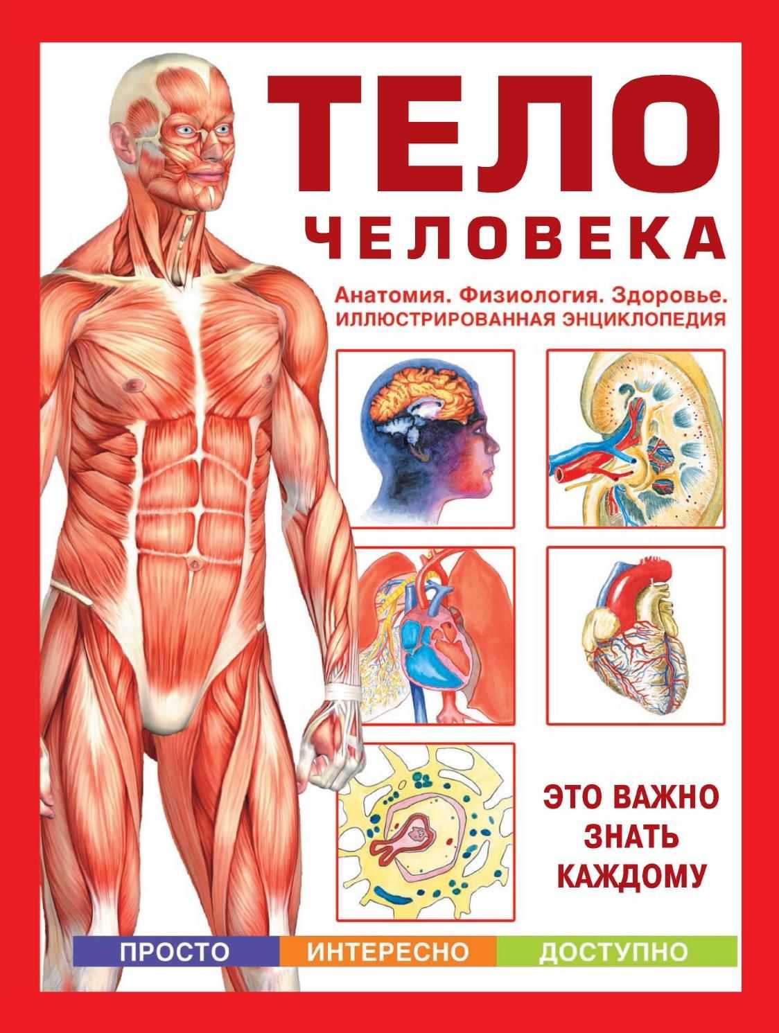 Строение человека. внутренние органы, фото с надписями, кости спереди женщина, мужчина. анатомия для детей 2-4 класс