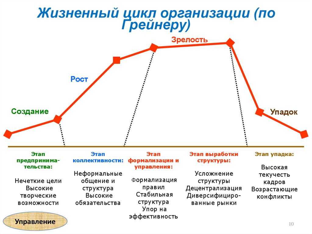 Модель жизненного цикла организации по адизесу: разбираем подробно — powerbranding.ru